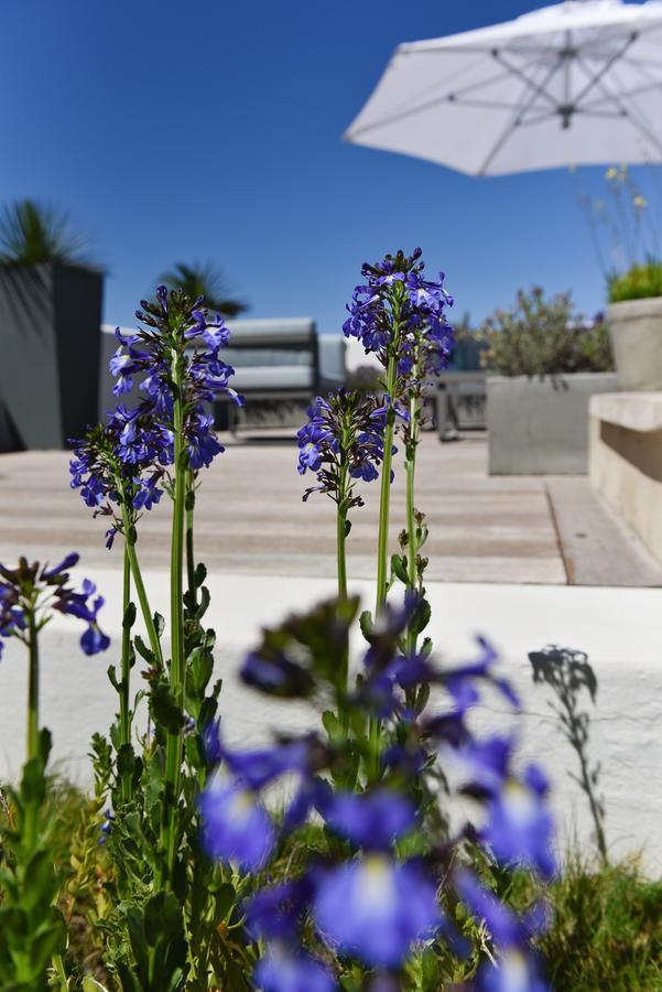 Vilacqua Boutique Guest Villa Plettenberg Bay Eksteriør billede