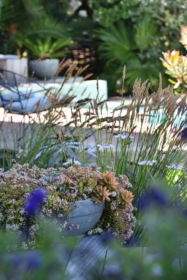 Vilacqua Boutique Guest Villa Plettenberg Bay Eksteriør billede