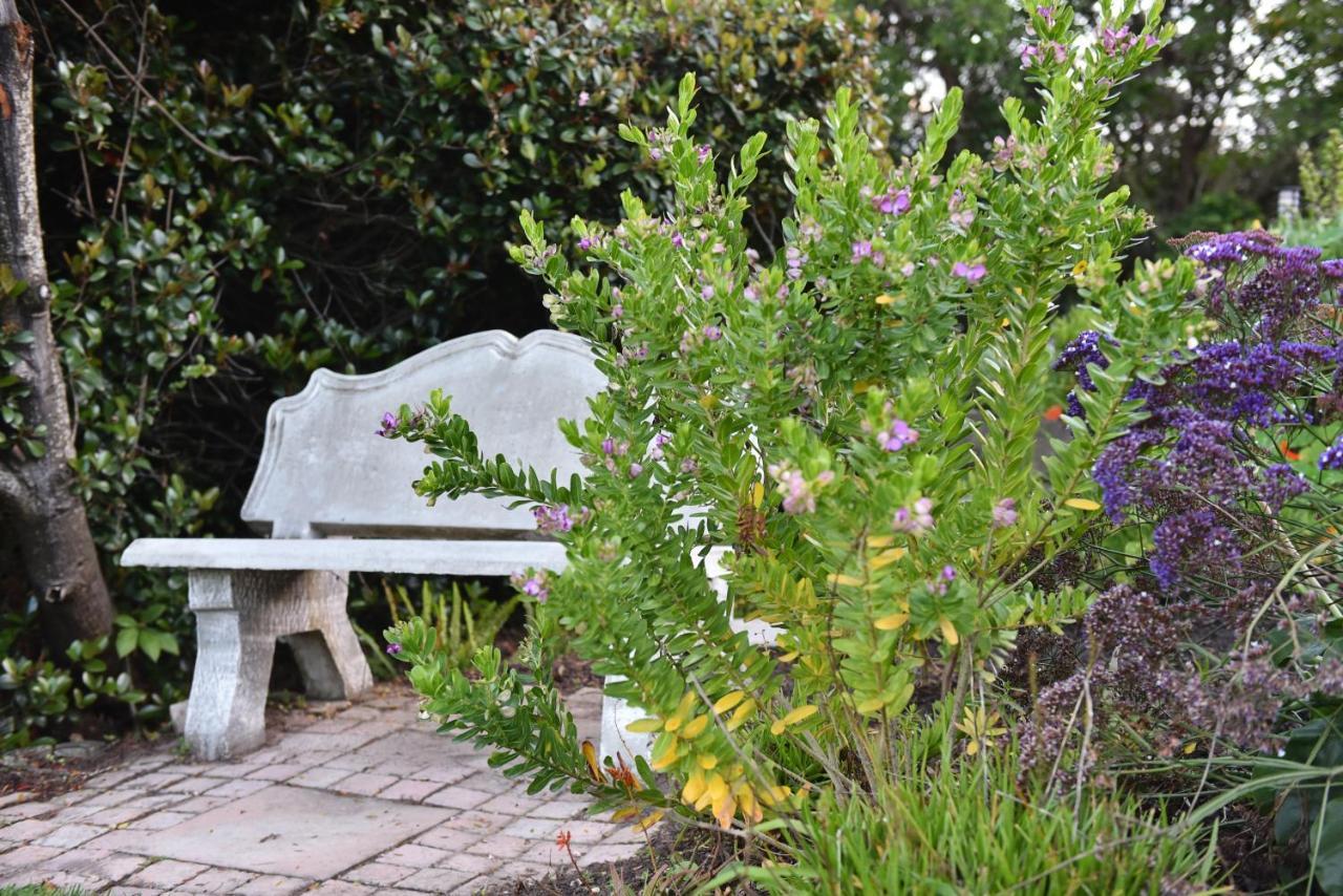Vilacqua Boutique Guest Villa Plettenberg Bay Eksteriør billede