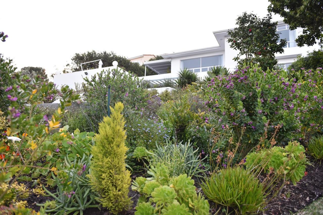 Vilacqua Boutique Guest Villa Plettenberg Bay Eksteriør billede